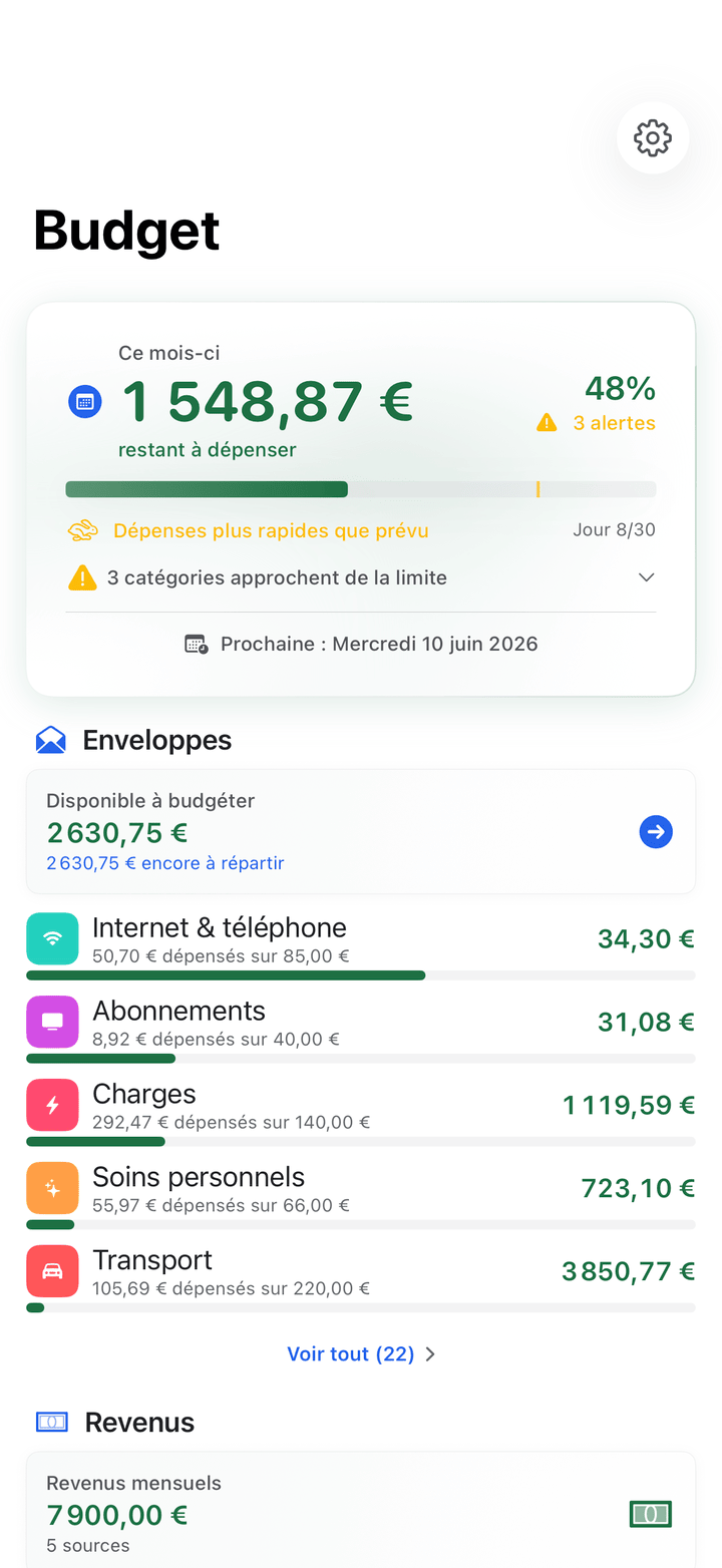 Envelope budgets with monthly progress on iPhone