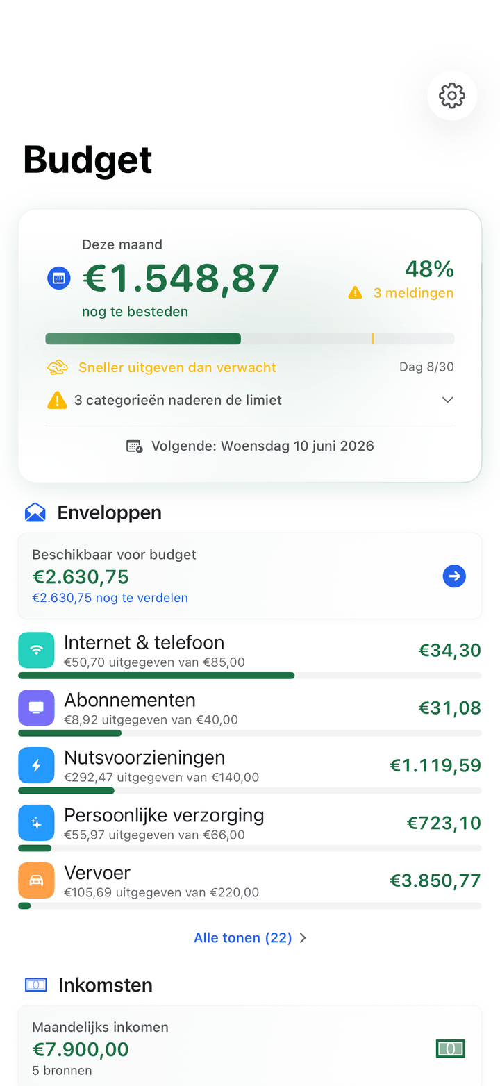 Envelope budgets with monthly progress on iPhone